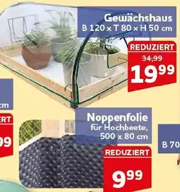 CENTERSHOP Gewächshaus Angebot