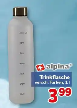 CENTERSHOP Trinkflasche alpina Angebot