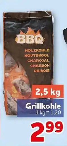 CENTERSHOP BBQ Grillkohle Angebot