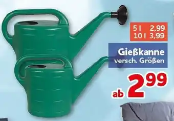 CENTERSHOP Gießkanne Angebot