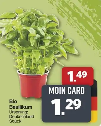Famila Nord West Bio Basilikum Angebot