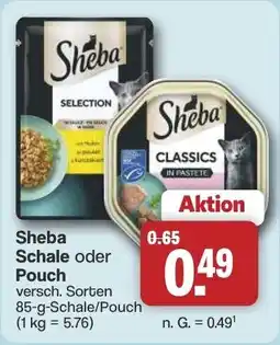 Famila Nord West Sheba Schale oder Pouch Angebot