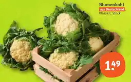 tegut Blumenkohl Angebot