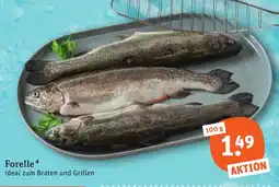tegut Forelle Angebot