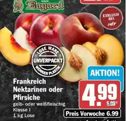 HIT Frankreich Nektarinen oder Pfirsiche Angebot