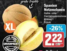HIT Spanien Netzmelonen Angebot