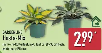 Aldi Nord GARDENLINE Hosta-Mix Angebot