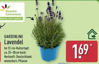Aldi Nord GARDENLINE Lavendel Angebot