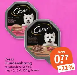 tegut Cesar Hundenahrung Angebot