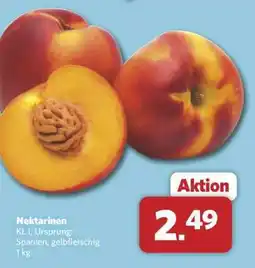Combi Nektarinen Angebot