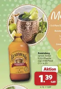 Combi Bundaberg Angebot