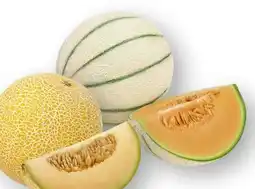 Scheck-in-Center Galia Melone Angebot