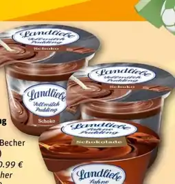REWE Center Landliebe Vollmilchpudding Angebot