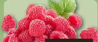 REWE Center Himbeeren Angebot