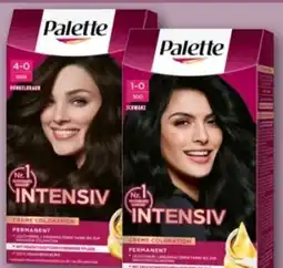 REWE Center Poly Palette Intensiv Creme Coloration Angebot
