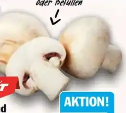 AEZ Hit Riesenchampignons Angebot