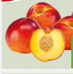 Edeka Xpress Gut & Günstig Nektarinen Angebot