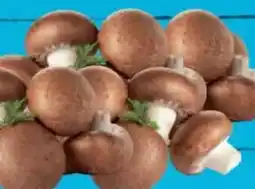 E-Center Gut & Günstig Champignons braun Angebot