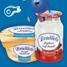 E-Center Landliebe Joghurt Angebot