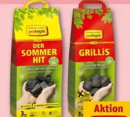 REWE Center proFagus Grill-Holzkohle Angebot