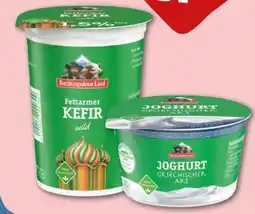 REWE Center Berchtesgadener Land Fettarmer Kefir Angebot