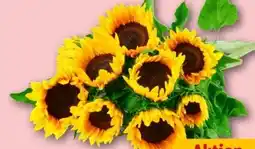 REWE Center Sonnenblumen Angebot