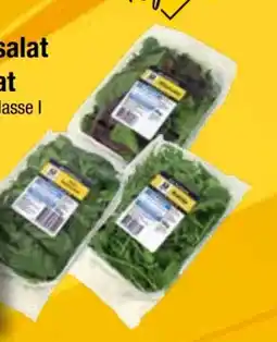 EDEKA Bandelt Edeka Regional Rucola Angebot