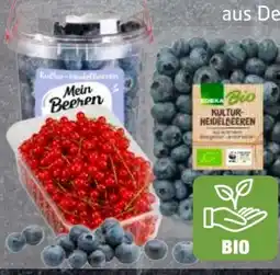 Edeka Frischemarkt Edeka Bio Bio-Kulturheidelbeeren Angebot