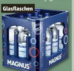 REWE Center Magnus Mineralwasser Angebot