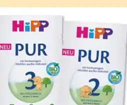 Budni HiPP Folgemilch Bio Angebot