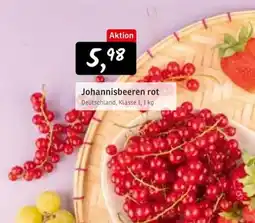 KONSUM Johannisbeeren rot Angebot