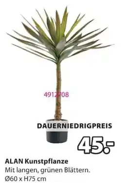 Jysk ALAN Kunstpflanze Angebot