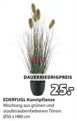 Jysk EDERFUGL Kunstpflanze Angebot