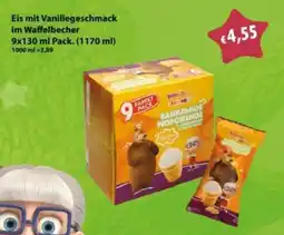 Mix Markt KashaBee Eis mit Vanillegeschmack im Waffelbecher Angebot