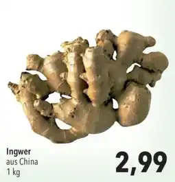CITTI Markt Ingwer aus China Angebot