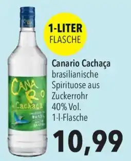 CITTI Markt Canario Cachaça Angebot