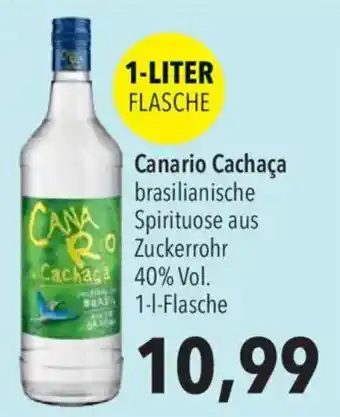 CITTI Markt Canario Cachaça Angebot