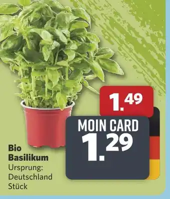 Combi Bio basilikum Angebot