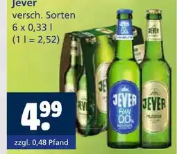 Getränkewelt Jever Angebot