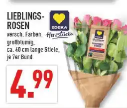 Marktkauf Lieblings-rosen Angebot