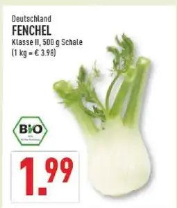 Marktkauf Fenchel Angebot