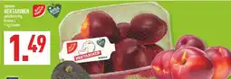 Marktkauf Dürr gourmet nektarinen Angebot