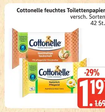 Marktkauf Cottonelle feuchtes toilettenpapier Angebot