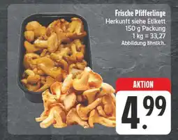 E-Center Frische pfifferlinge Angebot