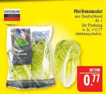 Marktkauf Mini romanasalat Angebot