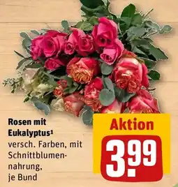 REWE Rosen mit Eukalyptus Angebot