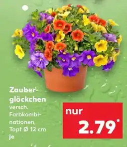 Kaufland Zauberglöckchen Angebot