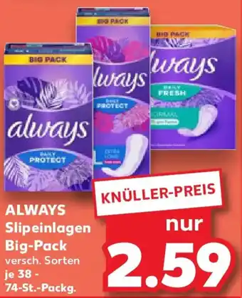 Kaufland ALWAYS Slipeinlagen Big-Pack Angebot