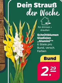 Netto Schnittblumen Gladiolen „Glamini“ Angebot