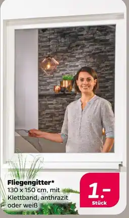 Netto Fliegengitter* Angebot